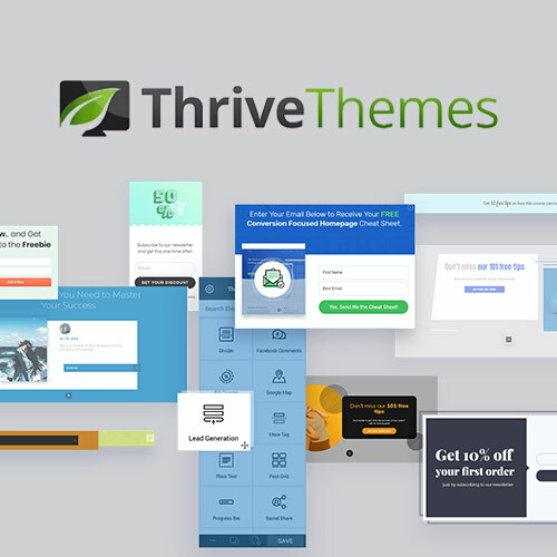 Wordpress premium theme thrive - wordpress,