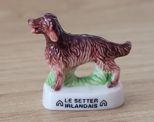 Fève chien setter irlandese - fève,