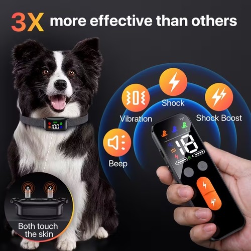 Topdog collare per cani - topdog,