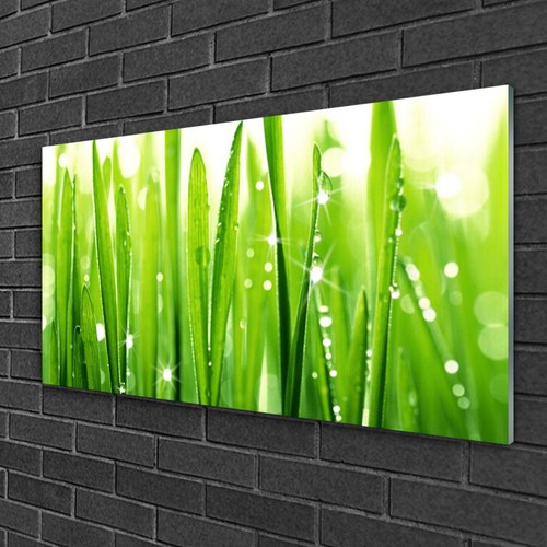 Quadro stampa vetro wall art - vetro,
