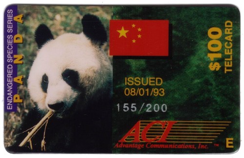 Panda gigante endangered - panda,