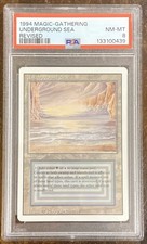 Magic: The Gathering (MTG) -