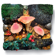 GILARDI PIERO - Funghi Invernali, 2010 - Tappeto natura