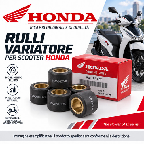 Rulli variatore originali - rulli,