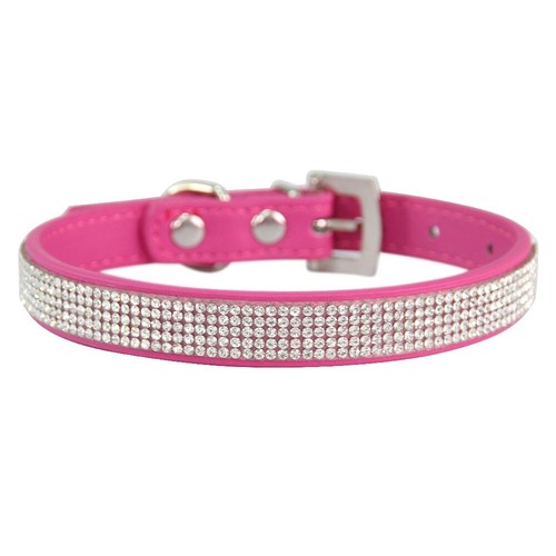Collare per cani animali - collare,