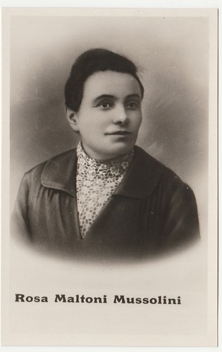 Rosa maltoni mussolini 36798 - mussolini, -36798-