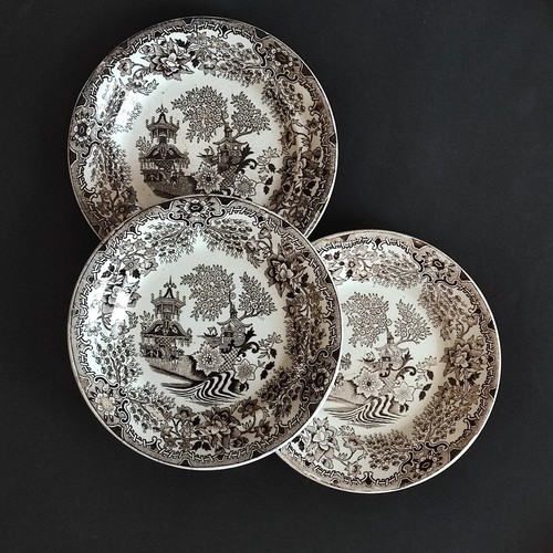 Piatti colandine soc - colandine,