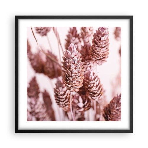 Poster 50x50cm secchi - 50x50cm,