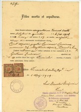 AUSTRIA 1 /05/1919 CERTIFICATO DI MORTE DI UN CITTADINO DI PIERIS GORIZIA