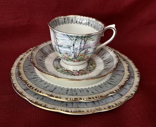 Royal albert silver - silver, betulla