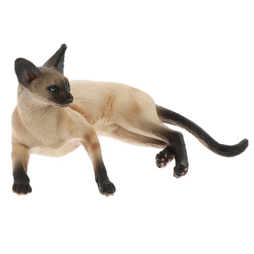 Gattino realistico statua - gattino,
