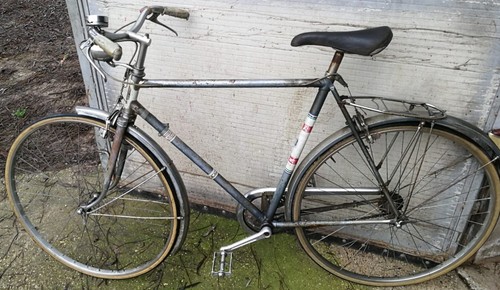 Bicicletta uomo maino grigia - bicicletta,