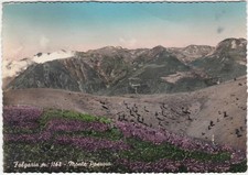 FOLGARIA - TRENTO - MONTE