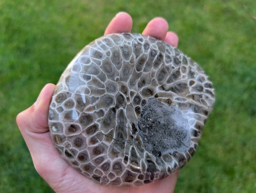 Portasapone pietra michigan - pietra,