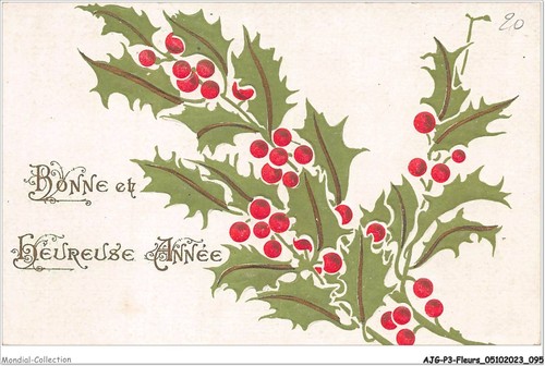 Ajgp3 0258 fleur casa - ajgp3-0258,