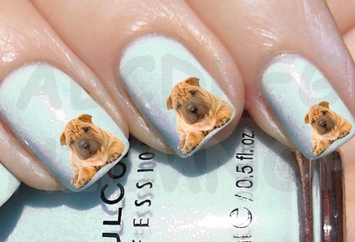 60x water decals cucciolo - water,