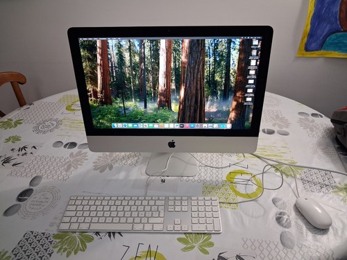 Imac retina 2019 - 21,5,