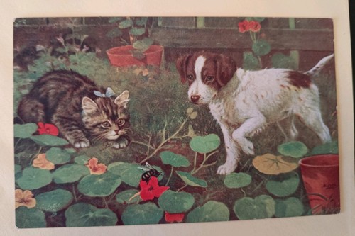 Tucks cat dog postcard when - cat/,