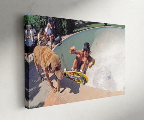 Stampa tela skateboard - stampa, su