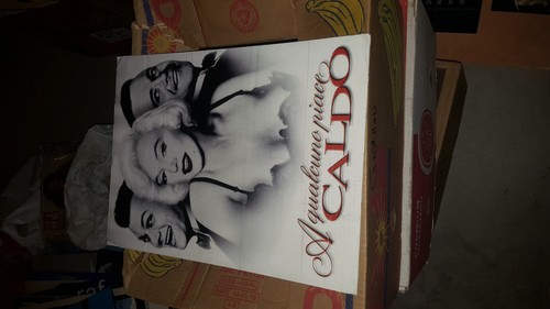 Cartonato promozionale marilyn - cartonato,