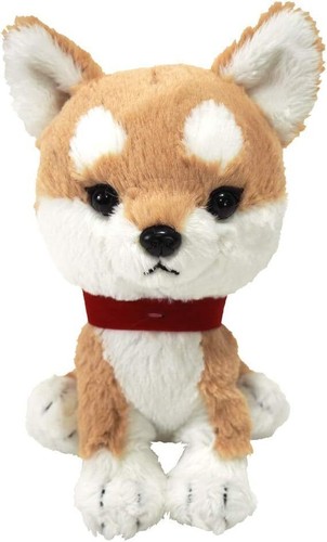 Cuccioli limone sole shiba - limone, sole!