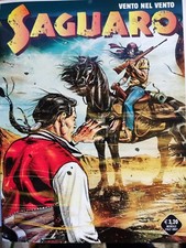 Saguaro Numero  29 - Vento Nel