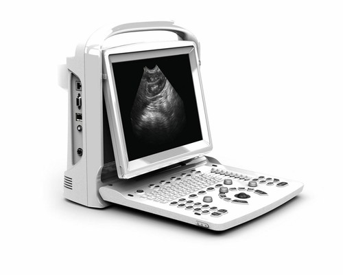 Ultrasuoni veterinari chison - ultrasuoni,