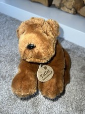 Chiglia Giocattoli Giocattolo