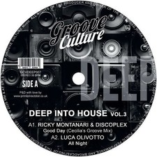 Vinile Nuovo - Deep Into House