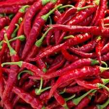 Cayenne Long Thin Pepper Seeds