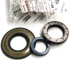 Kit Serie Paraoli Motore