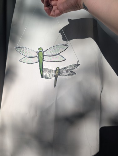 Acchiappasole libellula - , in
