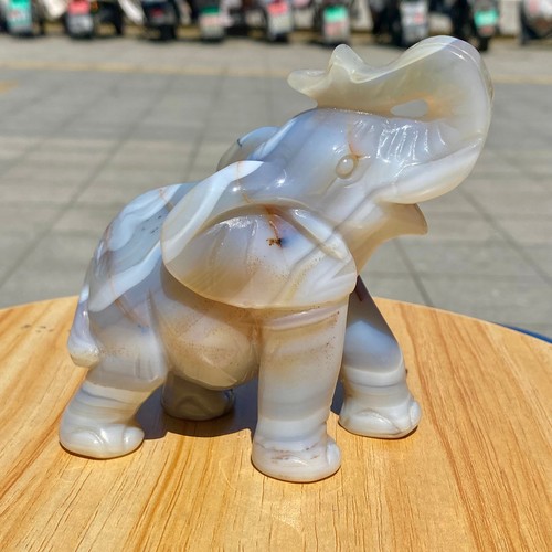 Elefante cristallo intagliato