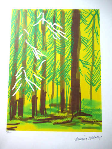 Litografia david hockney - david,