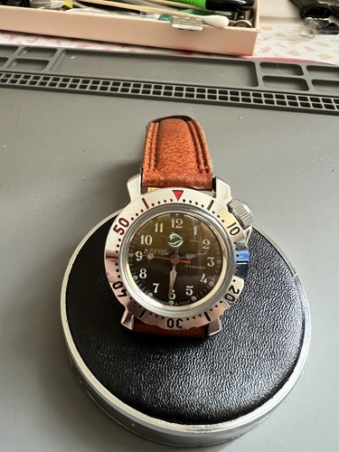 Vostok dolphins amphibian - vostok,