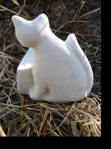 Stampo piede vaso - , gatto