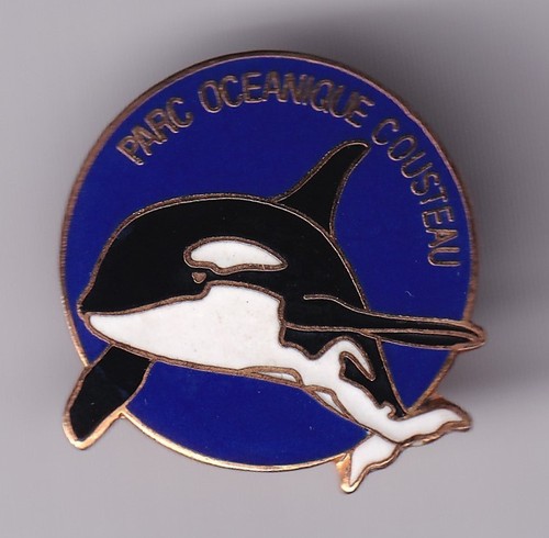 Rare pins pin - pins, parc
