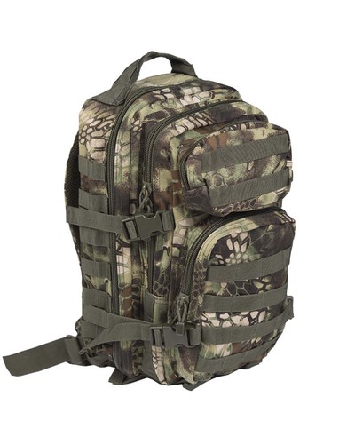 Assault pack small molle - us,