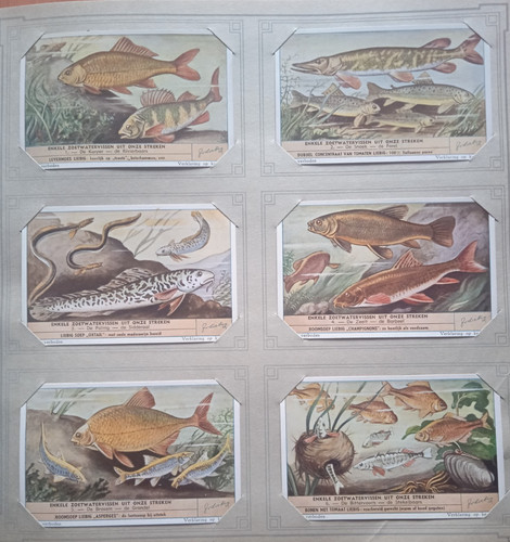 Liebig set carte commerciali - liebig,