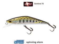 MINNOW  SENTINEL 70 RAPTURE