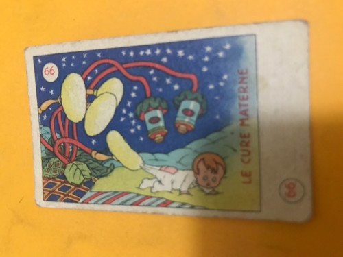 Fig topolino ed - fig.n., ed.