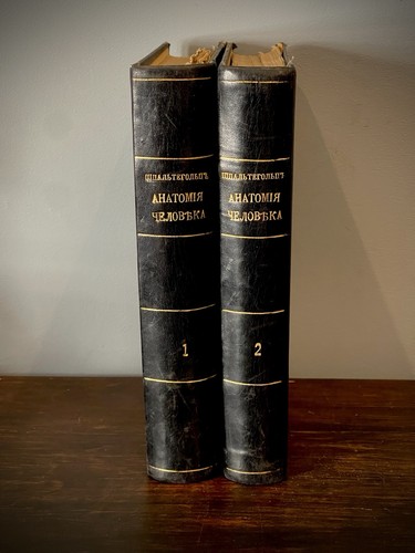 Antique atlas human anatomy - antique,