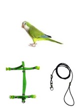 Pettorina pappagalli misura