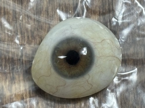 Protesi oculari ottiche