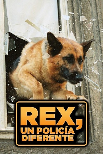 Rex policía diferente - rex,,