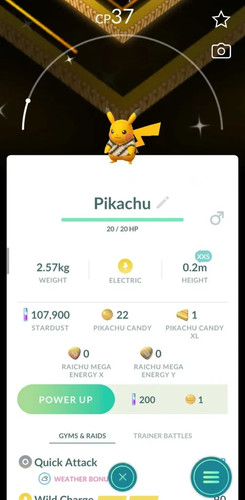 Camicia pikachu xxs - pikachu, xxs✨