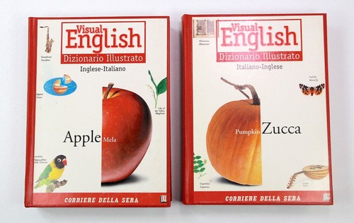 Visual english dizionario - visual,