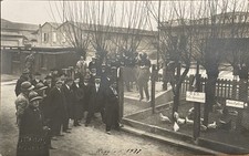 SCUOLA di ZOOTECNICA e di