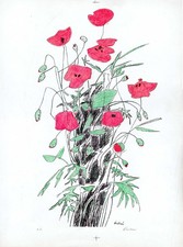 ENRICO PAULUCCI "PAPAVERI