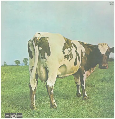 Pink floyd atom - lp,